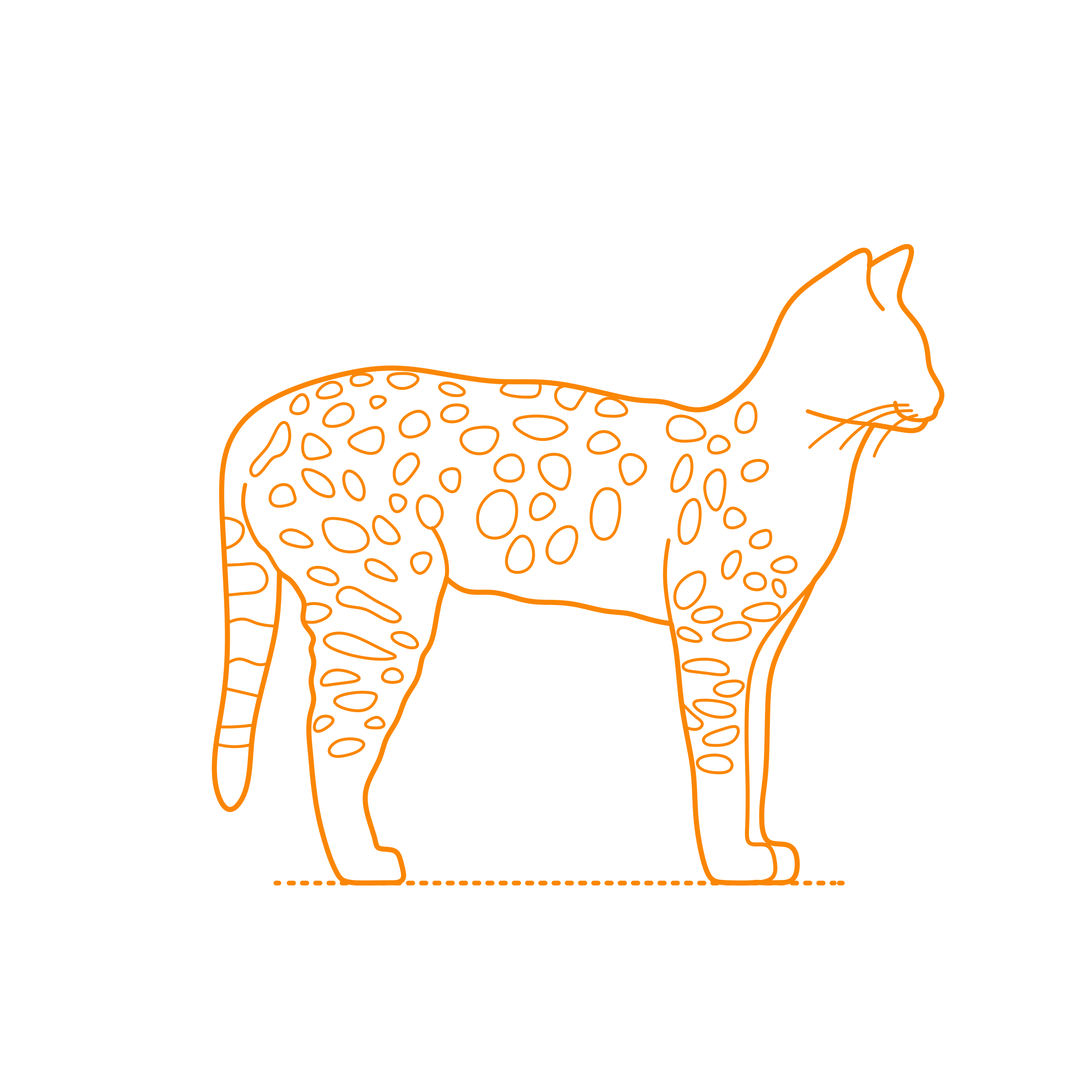 Animals Cats Savannah Cat Outline Drawing Svg Vector Free Vectors